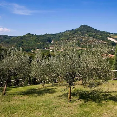 Lejlighed Sleeps 6 With Pool And Wifi Brisighella